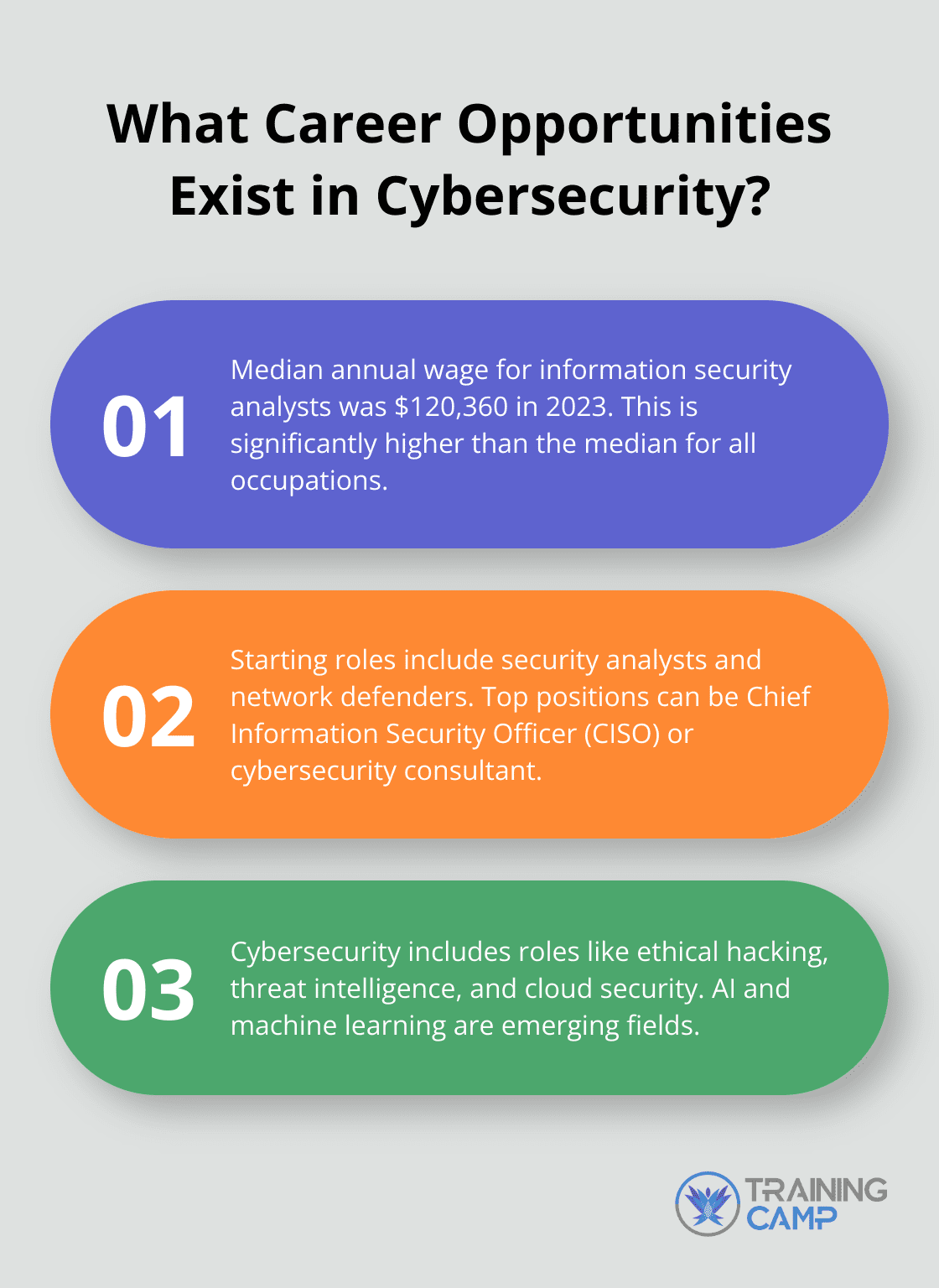 Fact - What Career Opportunities Exist in Cybersecurity?