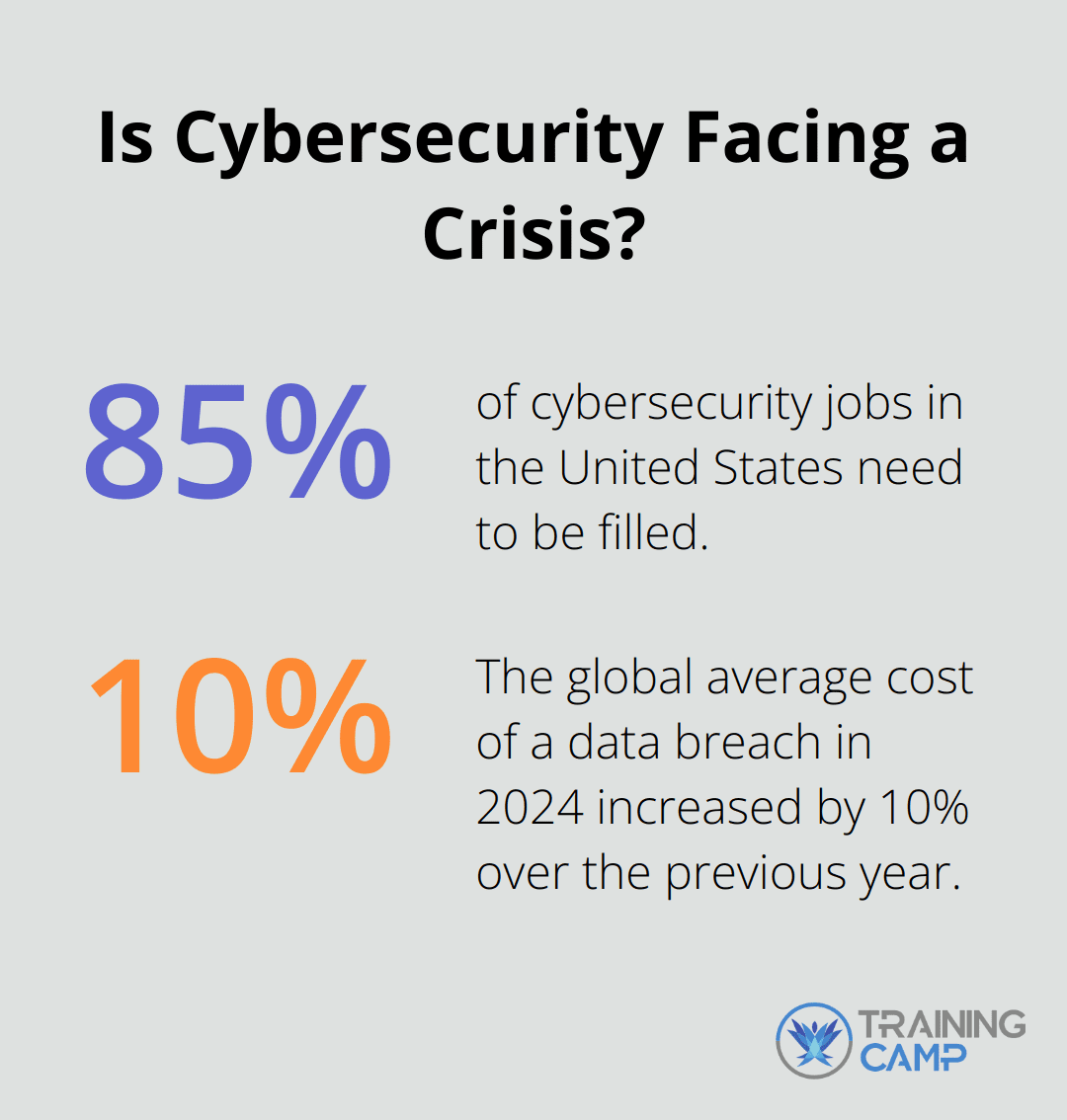 Fact - Is Cybersecurity Facing a Crisis?