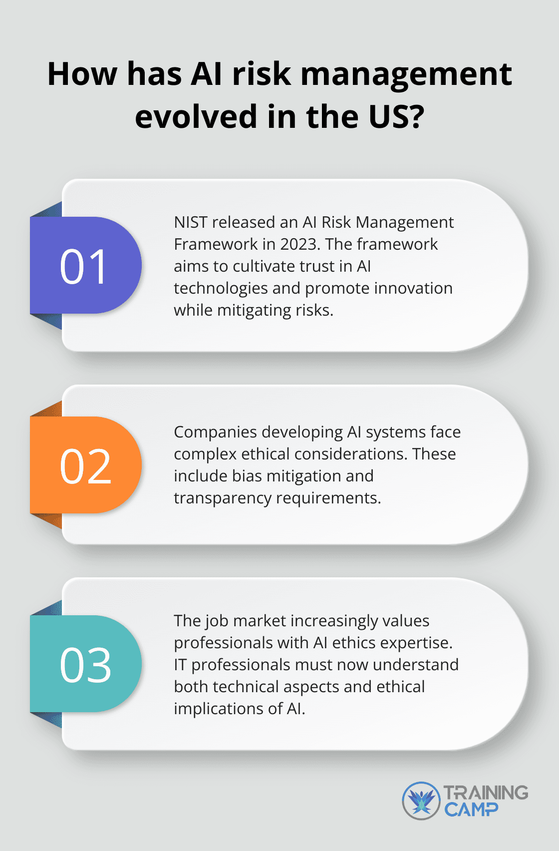 Fact - How has AI risk management evolved in the US?